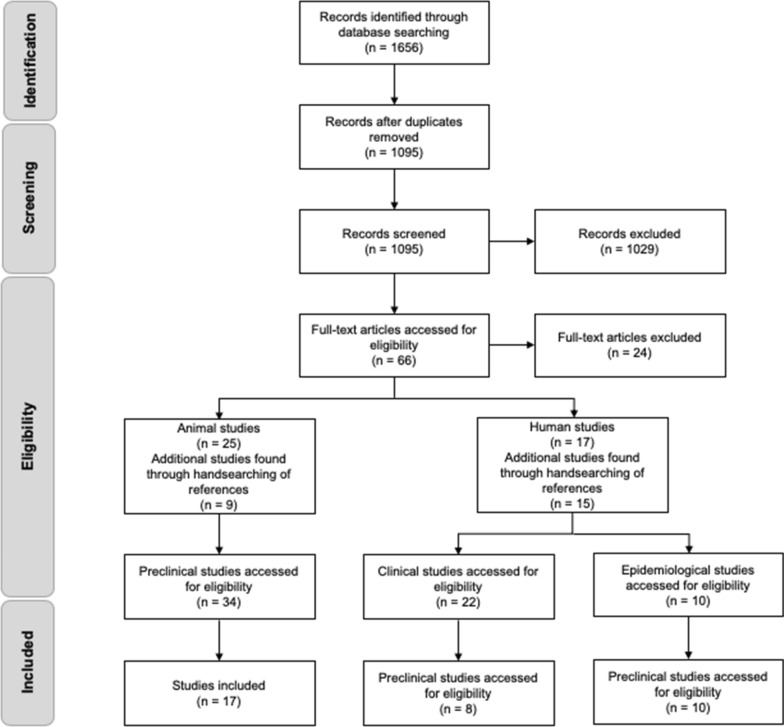 Process of identification and screening of articles for inclusion