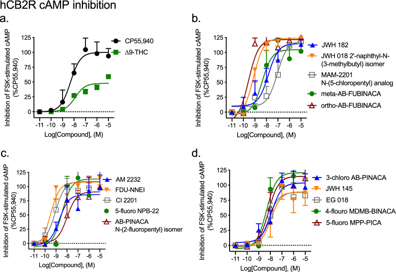 CB2R-dependent inhibition of FSK-stimulated cAMP following SCRA treatment. CHO cells stably-expressing hCB2R were treated with 10 µM FSK and 0.10 nM–10 μM SCRA for 90 min, and inhibition of cAMP was measured. cAMP inhibition data are expressed as % CP55,940 response. Data were fit to a nonlinear regression (four parameter model, GraphPad v. 8) for statistics in Table 1; or fit to the operational model to calculate bias (Fig. 9). Data are mean ± S.E.M. n ≥ 6 independent experiments performed in triplicate.