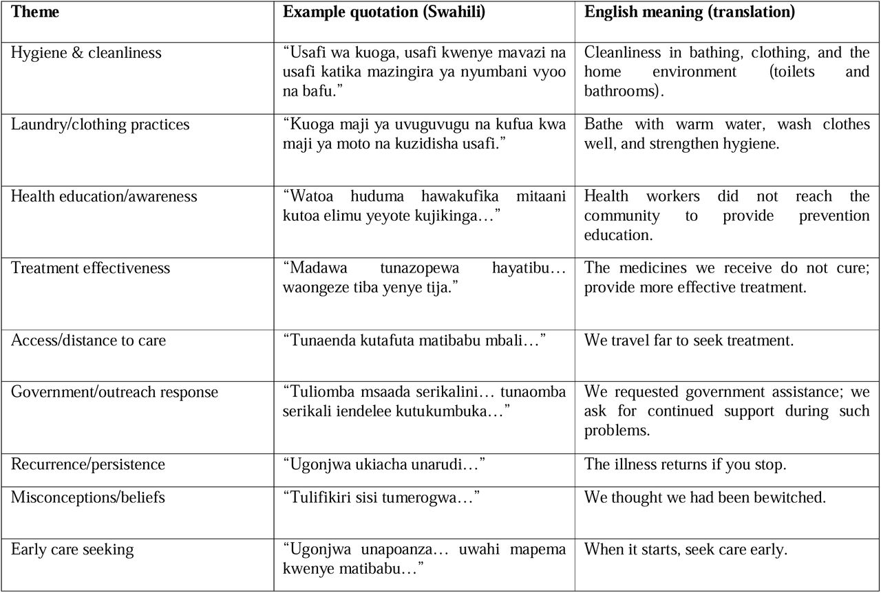 Illustrative quotations supporting key themes (translated)