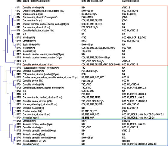 Hierarchical clustering identified three main groups of drug abuse cases.Hierarchical clustering of individual transcriptional profiles from comparisons of drug abuse cases and their individual four best-matched controls identified three main groups of drug abusers: Group I (DA1–18), Group II (DA19–34) and Group III (DA35–42). A summary of toxicology and drug abuse history for each case in the clustering dendrogram indicated cocaine use in a majority of cases, while presence of alcohol in Group I, and opioids and phencyclidine in Group II might underlie differences in Group I and II individuals. Group III cases differed markedly from other cases, which may be related to the absence or low levels of abused drug in most cases, a history of alcohol dependence, or to underlying medical conditions. Insufficient specimen for quantitative analysis of a positive hair test screening is indicated by a parenthesis around the substance name, units are ng/mg, except for cTHC (pg/mg). Abbreviations: 6AM – 6-acetyl morphine, AEME – anhydroecgonine methyl ester, BE - benzoylecgonine, CE – cocaethylene, COC – cocaine, COD - codeine, cTHC – 11-nor-9-carboxy-tetrahydrocannabinol, EEE – ecgonine ethyl ester, EME – ecgonine methyl ester, EtOH – alcohol, g% - g/dL, MDMA – N-Methyl-3,4-methylenedioxyamphetamine (Ecstasy), MOR – morphine, MTD – methadone, N/A – not available, OXYC – oxycodone, PCP – phencyclidine, THC – delta-9-tetrahydrocannabinol.