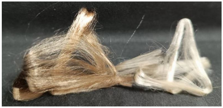 Fibers spun from solutions of miscanthus cellulose no. I (left filament bundle) and no. II (right filament bundle).