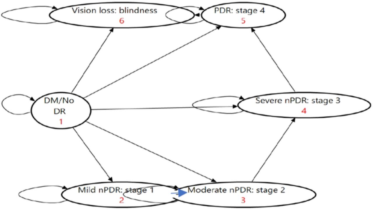 The structure of the Markov model