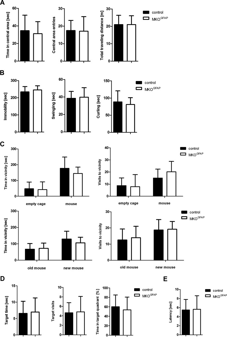 Behavioral characterization of MKOGFAP mice. Floxed control and MKOGFAP mice were tested for (A) anxiety-like behavior in the open field test and (B) depression-like behavior in the tail suspension test. C, social memory was analyzed via social interaction test and D, spatial memory via Barnes maze. E, thermal nociception was tested via plantar test. Data are presented as means + S.D. (n = 10–12).