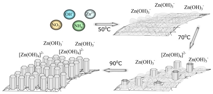 Schema of zinc oxide growth on a mesh surface.