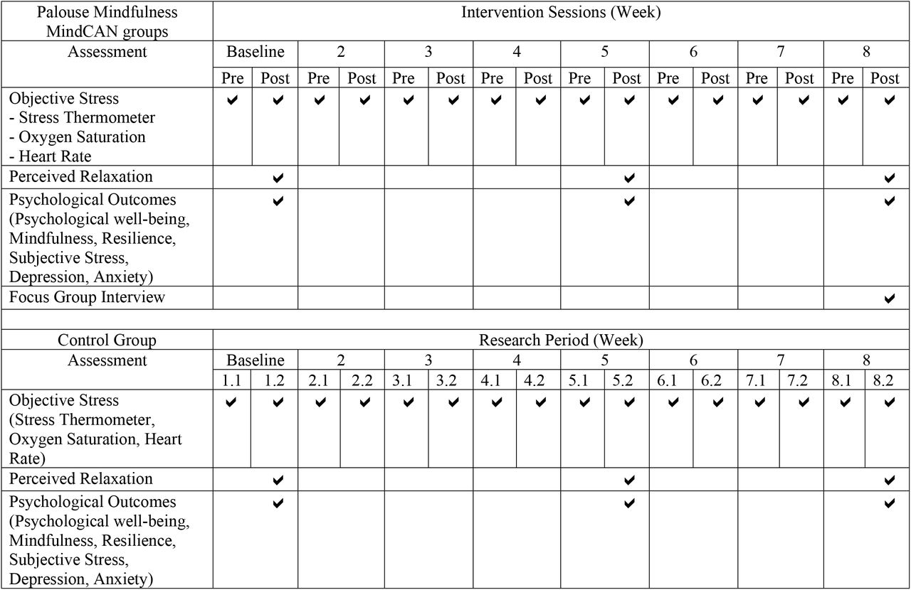 Assessments for Intervention and Control Groups