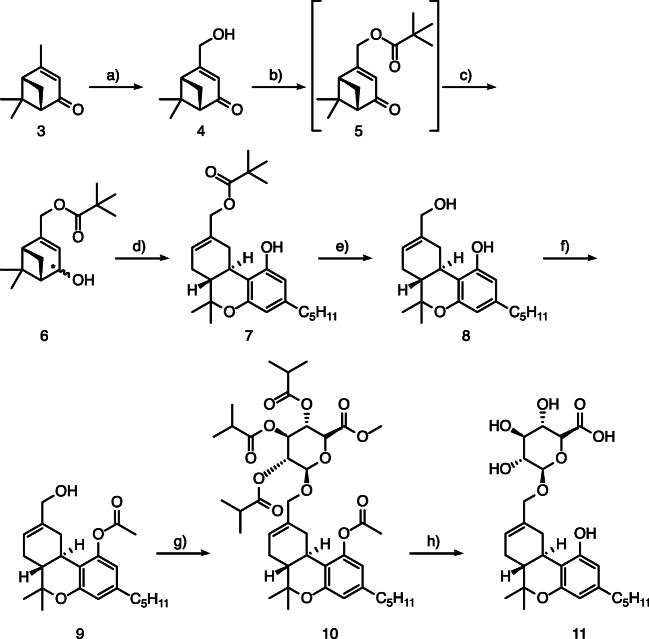 Synthesis of (−)-11-OH-Δ-8-THC-Glc (11) starting from (−)-verbenone (3): (a) see reference [20], (b) pyridine, pivaloyl chloride, CH2Cl2, 0 °C, 2 h; (c) lithium tri-tert-butoxyaluminum hydride, THF, 0 °C, overnight; (d) olivetol, tetrafluoroboric acid diethyl ether complex, − 20 °C to rt., 1 h; (e) lithium aluminum hydride, THF, 0 °C, 3 h; (f) triethylamine, acetyl chloride, EtOAc, 0 °C, 1 h; (g) methyl 2,3,4-tri-O-isobutyryl-1-O-trichloroacetimidoyl-α-d-glucopyranuronate, boron trifluoride diethyl etherate, 1,2-dichloroethane, − 30 °C, 3 h; (h) NaOH, EtOH/H2O, rt., 24 h
