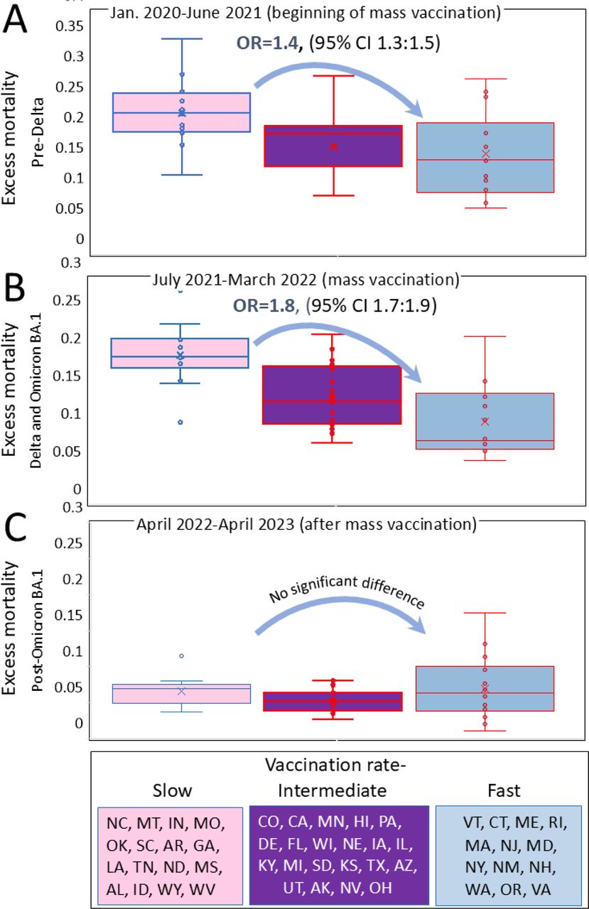 Excess mortality distributions in states categorised according to vaccination ratesStates were categorized in the same manner as described in the legend of Figure 2, and each state’s excess mortality estimate (not adjuste for age) was plotted withing each category: (A) For the pre-Delta period, which corresponds to the initial phase of vaccination. (B) For the Delta and Omicron BA.1 period, representing an advanced stage of vaccination. (C) For the post-Omicron BA.1 period.