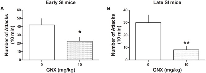 The analog of Allo, ganaxolone (GNX) ameliorates aggressive behavior in early and late adolescent SI mice. GNX (10 mg/kg, EC50 dose) was administered both to early (A) and late (B) adolescent SI mice 60 min before the exposure to a resident–intruder test. Equal doses of GNX showed a more powerful improvement in social isolation-induced aggression of late adolescent SI mice. Data represent the mean ± SEM of 12–13 mice. ∗p < 0.05; ∗∗p < 0.01, when compared with basal control levels of aggression.