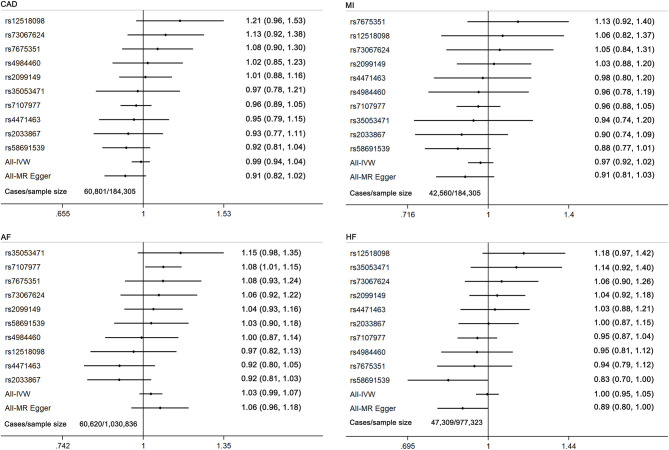 Forest plot of MR estimates for the causal effect of each cannabis use marker on coronary artery disease, myocardial infarction, atrial fibrillation, and heart failure. CAD, coronary artery disease; MI, myocardial infarction; AF, atrial fibrillation; HF, heart failure.