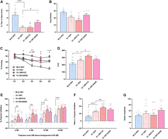CB2R is involved in the anxiety-like behavior, fear extinction deficits and increased prepulse inhibition response of the S1 mice strain compared to BL6 mice. (A,B) Percentage of time spent in the open arms (A) and total number of entries in both closed and open arms (B) of the elevated plus maze test in BL6 and S1 mice treated with the CB2R agonist JWH133 (5 mg/kg, ip) or the CB2R antagonist SR144528 (3 mg/kg, ip) 30 min before the test (n = 8–9 mice per group). (C,D) Time course (C) and AUC values (D) of the freezing levels during cued fear extinction trials in BL6 and S1 mice treated with JWH133 (5 mg/kg, ip) or SR144528 (3 mg/kg, ip) 30 min before each extinction session (n = 7–12 mice per group). (E–G) Percentage of prepulse inhibition (E), mean of the percentage of prepulse inhibition (F) and startle response amplitude (G) in BL6 and S1 mice treated with JWH133 (5 mg/kg, ip) or SR144528 (3 mg/kg, ip) 30 min before the test (n = 10–15 mice per group). Data are expressed as mean ± SEM. *p < 0.05, **p < 0.01, ***p < 0.001 (comparison between BL6-VEH and S1-VEH); $ p < 0.05 (comparison between S1-VEH and S1-SR144528); # p < 0.05, ## p < 0.01 (comparison between S1-VEH and S1-JWH133). BL6: C57BL/6J mice strain; S1: 129S1/SvImJ mice strain; E1-E5: extinction trials 1–5; AUC: area under the curve.