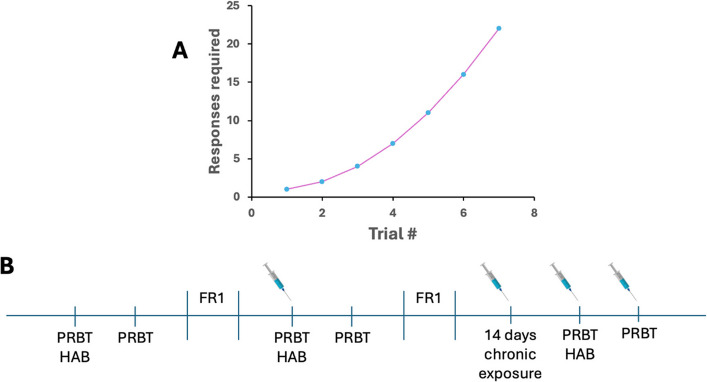 Schedule and testing timeline for assessing effortful motivation in the Progressive Ratio Breakpoint Task (PRBT). A Number of responses required for each subsequent reward in the PRBT task. B Animals were tested in the PRBT at baseline, following acute THC administration, and following 16 days of chronic THC. Each PRBT testing session was preceded by a test habituation session (HAB) in which animals were run on an FR1 schedule using only the nosepoke holes designated for testing