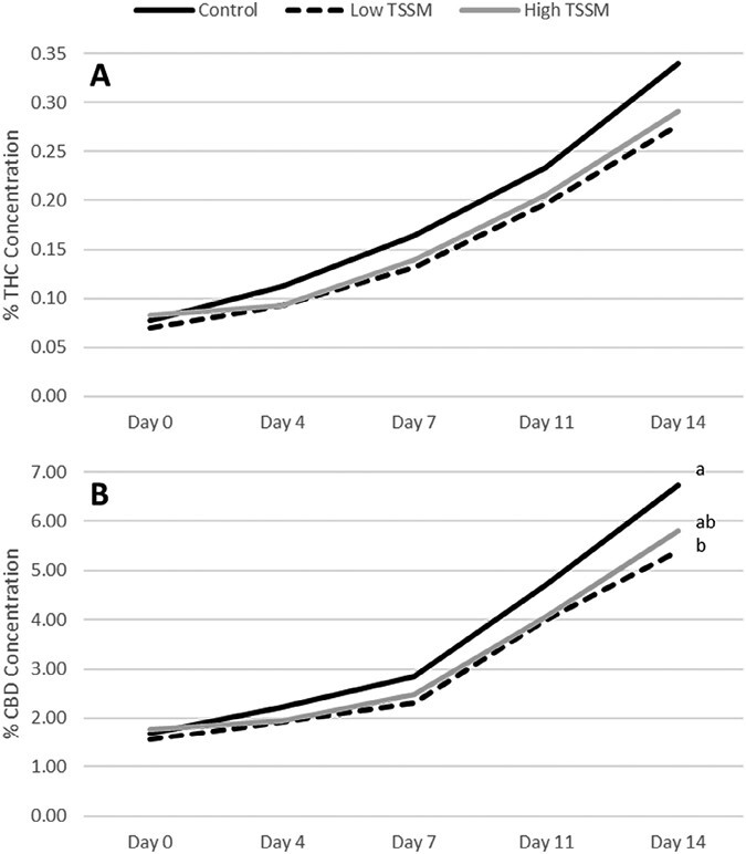 In 2021, the change in percentage concentration by dry weight for THC A) did not significantly differ over time following T. urticae infestation. The rate of CBD increase B) did not differ on the first 3 sample points but was significantly lower at low T. urticae densities than the control 14 days after infestation.