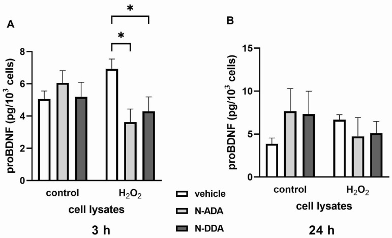 Effects of H2O2 and N-acyl dopamines on proBDNF protein levels in the cell lysates from human iPSC-derived neuronal cultures 3 h and 24 h after OS induction. Cell cultures were pretreated with N-acyl dopamines (5 µM) for 40 min and incubated with 200 µM H2O2. ProBDNF levels in the cell lysates were measured by ELISA. (A): After 3 h of OS, N-ADA and N-DDA decreased the intracellular proBDNF content in H2O2-treated cells. (B): After 24 h of OS, N-ADA, N-DDA and H2O2 do not affect proBDNF intracellular content. The data are represented as mean ± SEM (n = 3). * p < 0.05.
