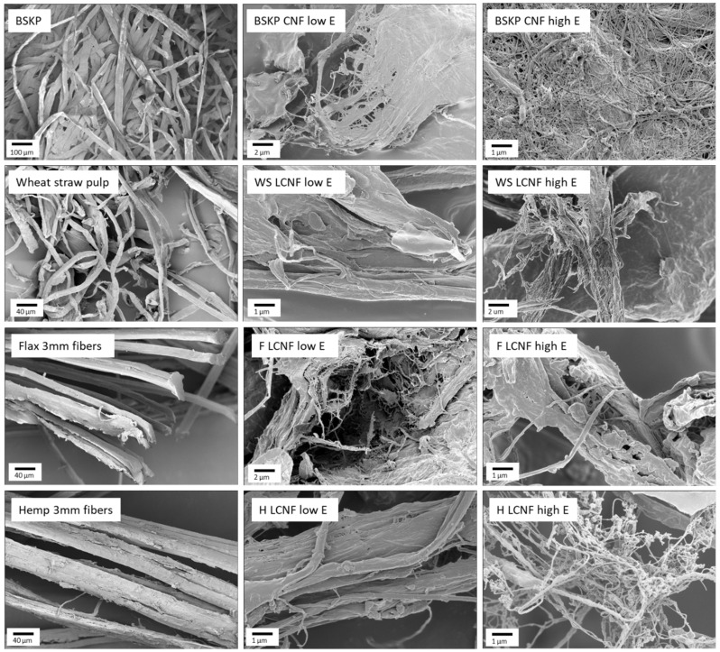 Scanning electron microscopy images of the non-wood feedstocks and their subsequent LCNFs at low and high net processing energy. WS LCNFs, F LCNFs, and H LCNFs refer to LCNFs derived from wheat straw, flax, and hemp, respectively.