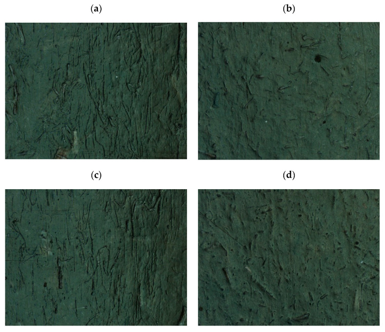 The photographs of fibers on the surface layer of PHBV biocomposite samples (magn. 50×): (a) H15SINGLE, (b) H15TWIN, (c) F15SINGLE, (d) F15TWIN.