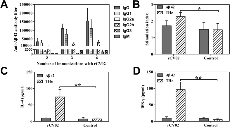 rCV02 induces strong Th2-polarized Aβ-specific humoral immune responses and activates proliferation of THc-specific T cells in 3 × Tg-AD mice.(A) Titer of anti-Aβ42 antibodies in 3 × Tg-AD mice immunized with rCV02. The titer was determined for the indicated IgM and IgG isotypes (IgG1, IgG2a, IgG2b, and IgG3). (B) T cell proliferation in rCV02-immunized mice. Splenocytes were harvested from rCV02-immunized and control mice and restimulated in vitro with 10 μg/mL Aβ42 and THc. Cytokine production from splenocytes was used as a surrogate marker of Th1 (IFN-γ; (E)) and Th2 (IL-4; (D)) bias in the immune response to rCV02. IL-4 and IFN-γ levels were measured by ELISA. Data represent the mean ± SD (n = 8). Statistically significant differences were determined by Student’s t-test. * p < 0.05, ** p < 0.01, compared with the control group (3 × Tg-AD).