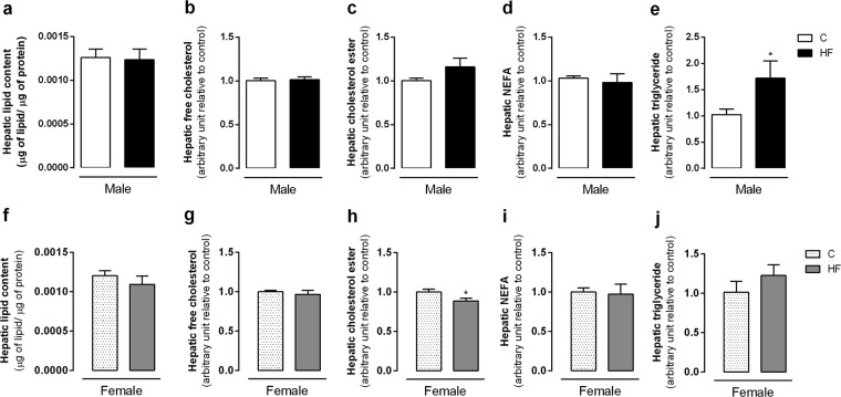 Effect of maternal HF diet on hepatic lipid content (a,f), free cholesterol (b,g), cholesterol ester (c,h), NEFA (d,j), triglyceride (e,j) in both male and female offspring at 180-day-old. Data is expressed as mean ± S.E.M, n = 9–12 per group; *p < 0.05, by Student’s t test.