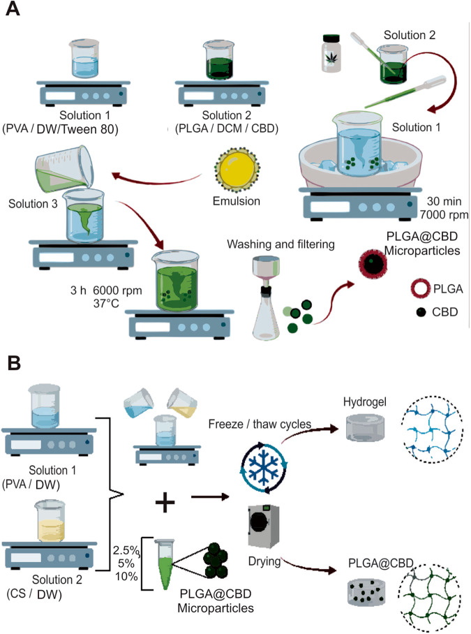 Illustration of the synthesis route of PLGA@CBD microparticles (A) that were subsequently embedded in a CS/PVA hydrogel (B). PLGA poly (lactic-co-glycolic acid), CBD cannabidiol, DCM dichloromethane, CS chondroitin sulfate, PVA polyvinyl alcohol