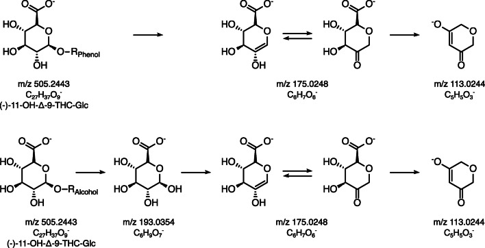 Proposed fragmentation pathway of phenolic and alcoholic glucuronides in negative ionization mode, modified from Wen et al. [30]