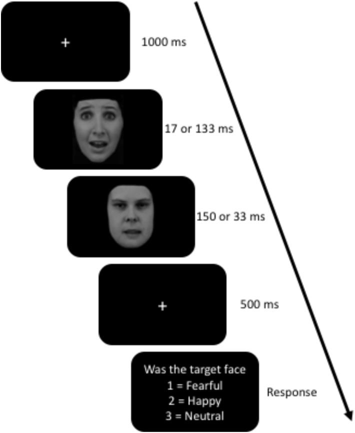 Awareness Task. The target face was the first face to appear for either 17 or 133 ms and was either a fearful, happy, or neutral face. The masking face, the second one, was always a neutral face with open mouth. Facial expressions (AF13AFS and AF16NES) obtained from The Karolinska Directed Emotional Faces database (Lundqvist et al., 1998).