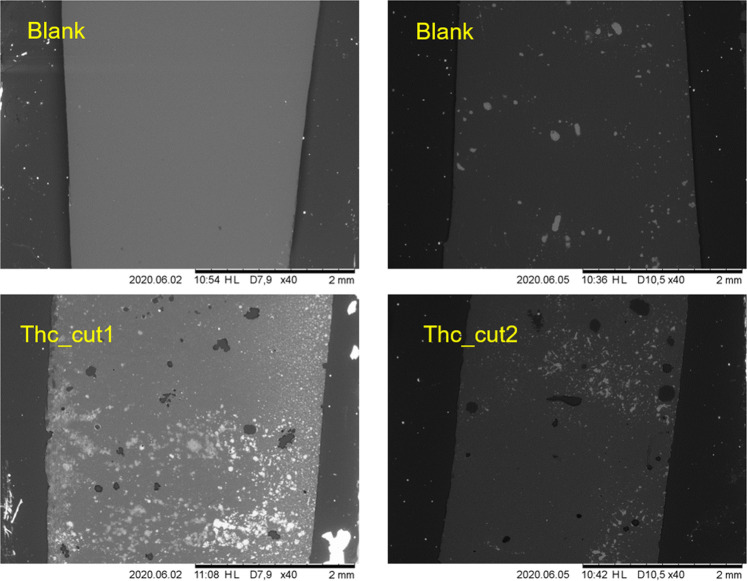 Scanning electron microscopy (SEM) imaging of PPeTF films after enzymatic hydrolysis in 1 M KPO buffer pH 8.0 at 65°C. Left side shows the films hydrolyzed with Thc_cut1; right side shows the films hydrolyzed with Thc_cut2. The upper pictures show the control reactions. Magnification: 40x.