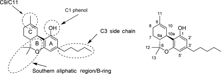 SAR of classical cannabinoids (left) major pharmacophores of classical cannabinoids, and common regions of functionalization and analog synthesis; (right) dibenzopyran numbering of Δ9-THC.