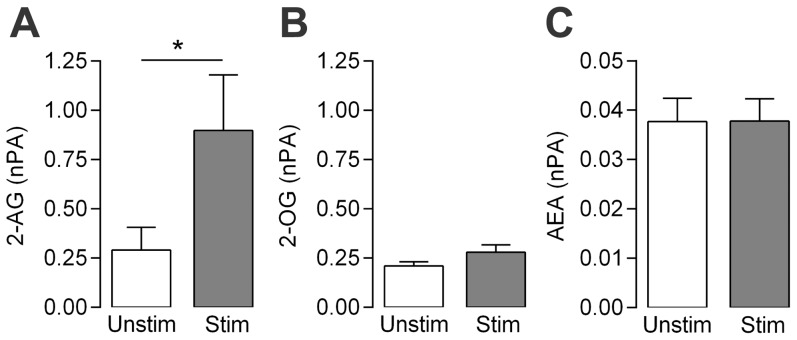 Bradykinin and ATP selectively increase the content of 2-arachidonoylglycerol in rat dorsal root ganglia.Isolated dorsal root ganglia from newborn rats were incubated with a mixture of 10 µM bradykinin and 1 mM ATP (Stim), or vehicle (Unstim) for 2 min and the contents of 2-arachidonoylglycerol (2-AG, A), 2-oleoylglycerol (2-OG, B) and anandamide (AEA, C) determined by mass-spectrometry. Y-axis indicates normalized peak area (nPA). Data are presented as mean ± s.e.m. (n = 6). Paired Student's t-test on log transformed values was used for comparing groups of data. *P<0.05