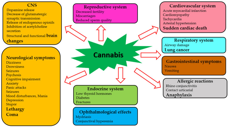 Adverse effects of cannabis on human systems.