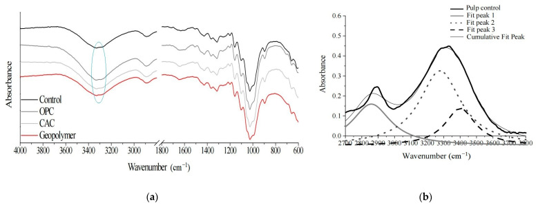 Pulp FTIR analysis of OPC, CAC, and geopolymer. (a) FTIR spectra of pulp in the control condition and after 28 days of immersion in the OPC, CAC, and geopolymer pastes; (b) Deconvoluted FTIR spectra of pulp control condition [72].