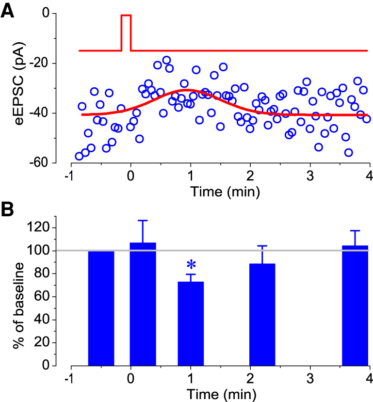 Reversibility of DSE with the time. (A) The amplitude dynamic of evoked EPSCs within 4 min after the depolarization in the same neuron shown in Figure 4, A and B. The entire experimental amplitude data points were fitted with Gaussian function yielding the peak of DSE at 0.94 min. (B) The normalized mean values for three cells at indicated time points before and after the depolarization. The identical holding and test potentials were used.