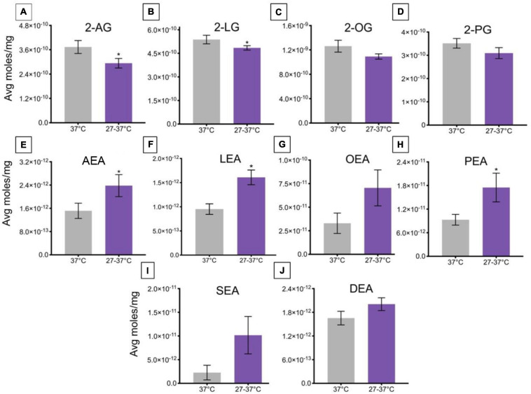 Changes in lipid levels of 2-acyl glycerols (A–D) and N-acyl ethanolamines (E–J) upon an increase in temperature from 27 to 37°C. Significant temperature-induced changes after TRPV1-HEK293 cells were exposed to a change in ambient temperature from 27 to 37°C is indicated by * (p ≤ 0.05). Data depicted in each graph were averaged over 15 total data points per condition (n = 3 individual experiments) and are presented as average moles/mg (y-axis).