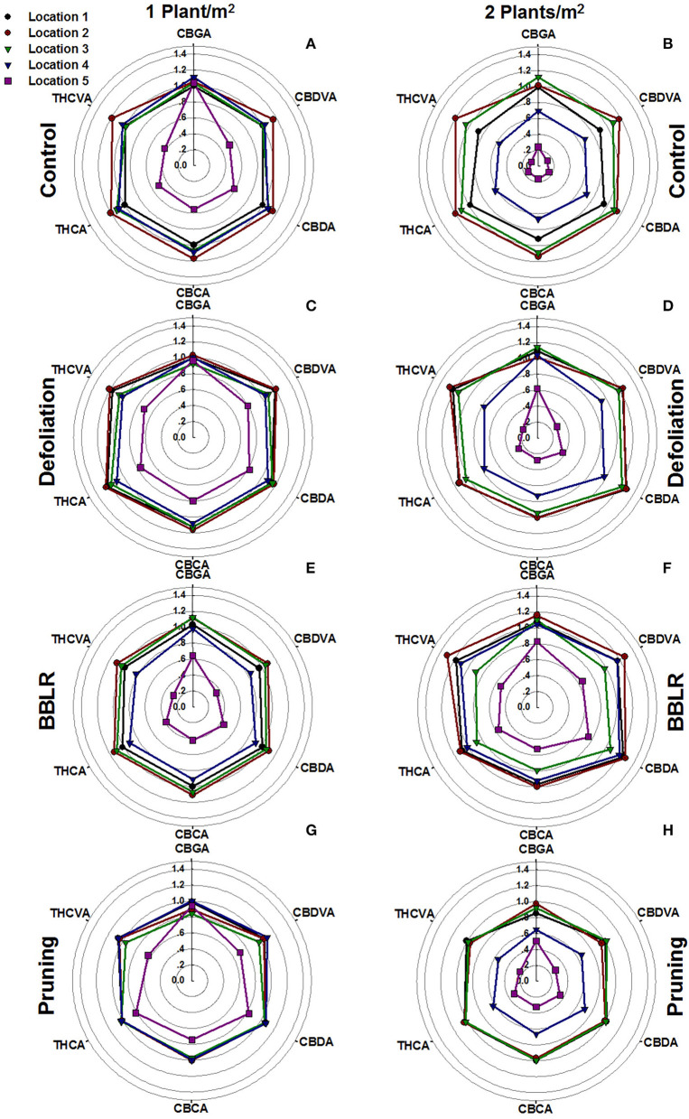 Effect of plant density and plant architecture treatments on cannabinoid concentrations in inflorescences from five locations in the plant. The data presented are concentration of each cannabinoid, relative to its concentration in the apical inflorescence of the main stem of the “Control” at the 1 plant/m2 treatment (location1). 1 plant/m2 density (A,C,E,G), 2 plants/m2 density (B,D,F,H). Architecture manipulation treatments: “Control” (A,B), “Defoliation” (C,D), Removal of leaves and branches from the bottom part of the plant [“BBLR”] (E,F) and “Pruning” (G,H). The results are mean (n = 6).