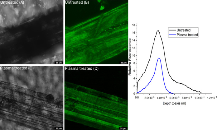 [A] Transmission image of untreated fiber, [B] autofluorescence image of untreated fiber, [C] transmission image of plasma-treated fiber, and [D] autofluorescence image of plasma-treated fiber along with relative autofluorescence intensity vs depth (z-axis).