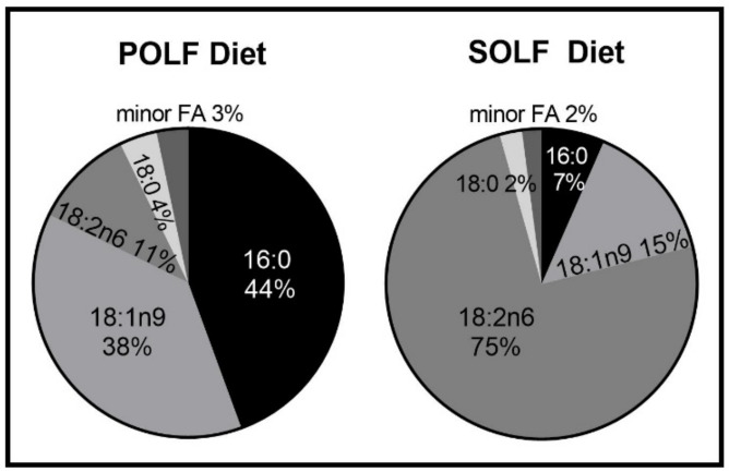 Dietary fatty acid composition of the oils used in the POLF and SOLF diets. Dietary oils (n = 3 samples/group) were analyzed by gas chromatography, expressed as percent of total fatty acids. All samples have a coefficient of variation of <3% between experimental replicates.