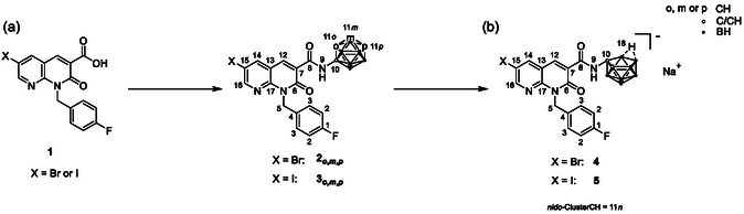 Synthesis of target compounds 2 o,m,p , 3 o,m,p , 4, and 5. Reagents and conditions: a) X = Br (2 o , m , p ): (i) SOCl2, toluene, reflux, 19–21 h or X = I (3 o , m , p ): (i) SOCl2, DMF cat., CH2Cl2, 0 °C → rt, 1.5 h–2 d, (ii) respective carborane‐amine C2B10H11‐NH2 (E3 o , m , p ), toluene, DIPEA, reflux, 19 h–3 d, and (iii) stop of reaction or continuation or heat reduction to 90 °C, 5 h–3 d. b) For 2 o and 3 o : NaF, EtOH/H2O (1:1, v/v), microwave, 150 °C, 10 min.