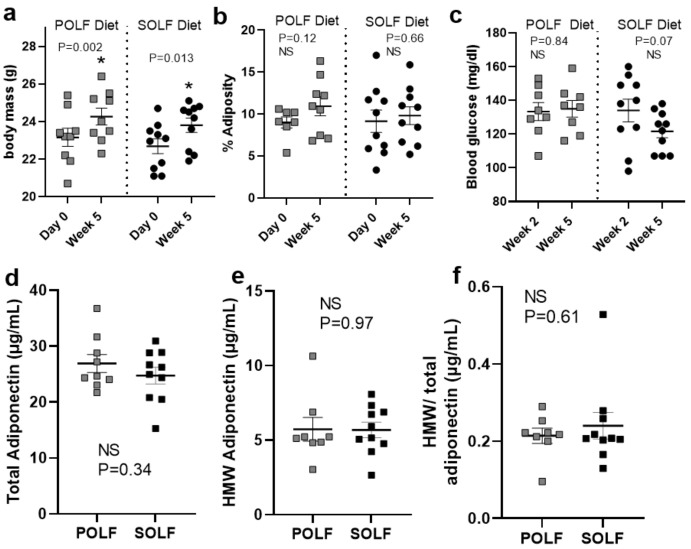 Physiological parameters of mice consuming POLF and SOLF diets for a 5-week period. (a) Change in body mass from Day 0 to Week 5, grouped by diet. (b) Percent adiposity as measured by EchoMRI from Day 0 to Week 5, grouped by diet. (c) Blood glucose measurements on Week 2 and Week 5, grouped by diet. (a–c) For each respective diet, a paired t-test was used to determine significant changes between measurements at the beginning and end of the study. (d) Total adiponectin and (e) high-molecular-weight adiponectin measured in plasma of mice after 5 weeks on the diet, as well as (c) the ratio of HMW/total adiponectin. (a–c) A paired t-test was used to determine changes between Day 0 and Week 5 within each diet group, while ANCOVA analysis was used to compare changes over time between groups and determine any significant differences between slopes over time. (d–f) Student’s t-tests were used to determine significant differences between diet groups at a single timepoint. An asterisk indicates p < 0.05 for (a–c) paired t-tests and (d–f) student’s t-tests, respectively. ‘NS’ indicates that p ≥ 0.05 and is non-significant for all analyses. While no significant differences in ANCOVA analysis and Student’s t-tests were determined. N = 8–10/group.