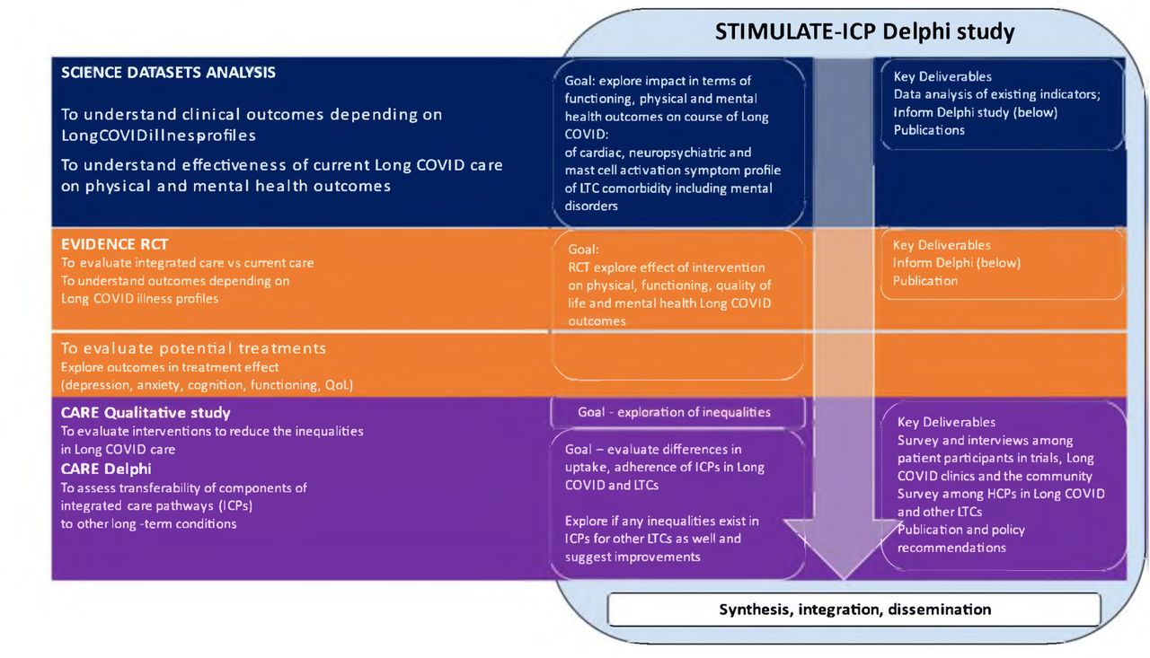 Flow chart showing the integration of STIMULATE-ICP DELPHI within overall STIMULATE-ICP