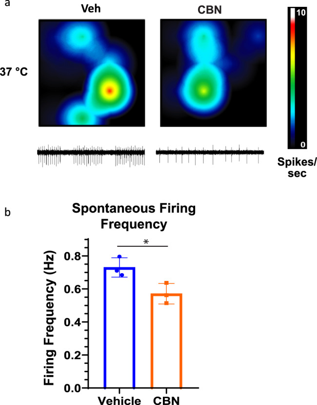 CBN reduces spontaneous excitable activity of rat DRG neurons in MEA.a Representative images of MEA recordings of AP firing at vehicle and 10 µM CBN (picked from concentration-response relationships in Fig. 1). The firing frequency of each active electrode is color coded: white/red mean high, and blue/black mean low frequencies. b Quantification of MEA data showing firing rate (n = 3 for each). * Indicates p < 0.05.