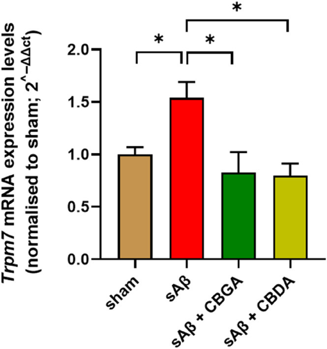Effect of β‐amyloid peptide and CBDA and CBGA treatment on TRPM7 expression levels in the hippocampus. *p < 0.05 vs. the indicated groups calculated by ANOVA.