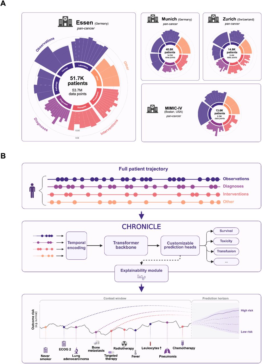 Patient cohorts and study design A:Data composition of pan-cancer patient cohorts from four university medical centers across three countries: Essen (containing the primary training cohort) and Munich (Germany), Zurich (Switzerland), and MIMIC-IV (Boston, USA). Inner-ring segments group variables into top-level categories (Observations, Diagnoses, Interventions, Other). Outer-ring bars show subgroups within each category, with height encoding the number of data points (log₁₀ scale). B: Chronicle prediction workflow. Full patient trajectories are temporally encoded and processed by a transformer backbone. Customizable prediction heads generate predictions for clinical endpoints of interest, with an integrated explainability module identifying the influence of all patient information in the model’s context window on individual predictions.