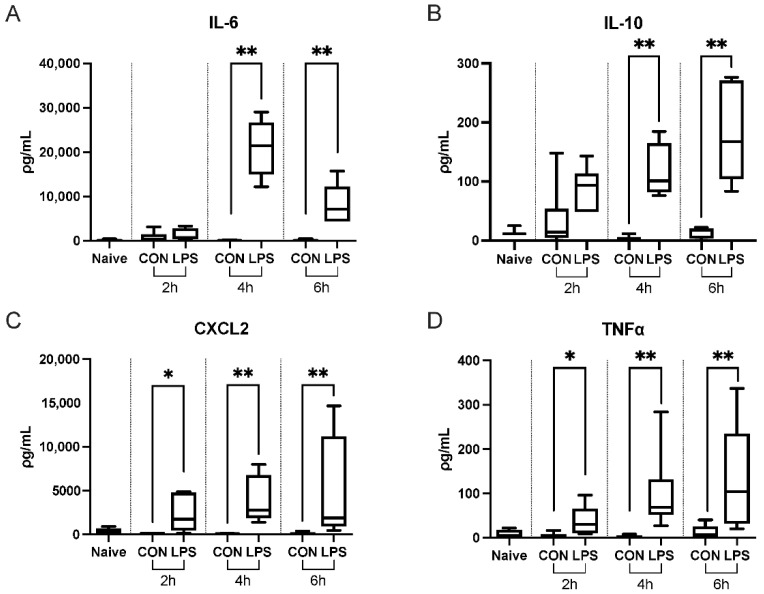 Systemic upregulation of cytokines following ALI. Plasma levels of (A) IL-6, (B) IL-10, (C) CXCL2, and (D) TNFα were elevated at 4 and 6 h post-induction. Whiskers show minimum and maximum values, boxes represent 25–75% data ranges, and horizontal lines within boxes represent medians. Statistically significant differences were determined via Mann–Whitney tests between LPS and control groups at each timepoint and are depicted as * p ≤ 0.05, ** p ≤ 0.01.