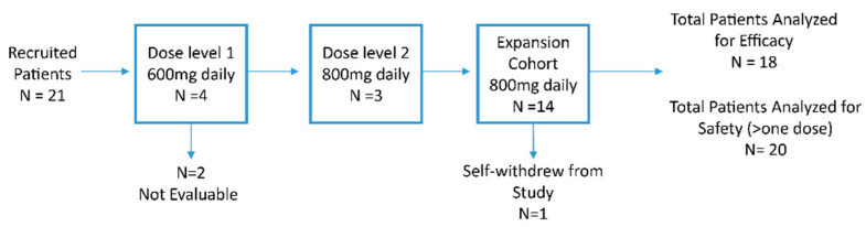 Consort Diagram. N, number.