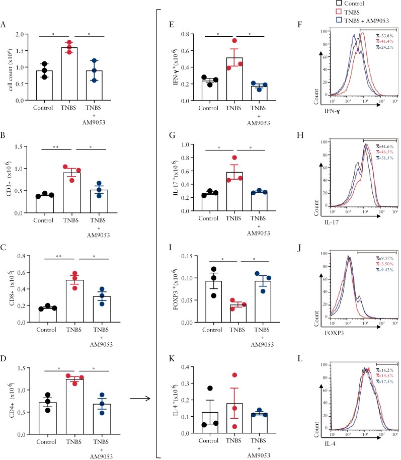 AM9053 influences Th subsets in mesenteric lymph nodes. Flow cytometry strategy was applied to identify the modulation of Th1, Th2, Th17, and Treg subsets. Total cells (A), isolated from mesenteric lymph nodes, were gated in their totality before the identifications of CD3+ (B), CD8+ (C), and CD4+ (D) populations. After washing, CD4+ cells were fixated, permeabilized, and stained intracellularly with INF-γ, IL-17A, FOXP3, and IL-4 antibodies. Th1, Th17, Treg, and Th2 populations were defined as CD4+/INF-γ+ (E and F), CD4+/IL-17+ (G and H), CD4+/CD25+/FOXP3+ (I and J), and CD4+/IL-4+ (K and L), respectively. Histograms (E, G, I, K) indicate the total positive populations (expressed as 1 × 106 cells and calculated from means of % of positive cells), in the different experimental conditions. FACS pictures (F, H, J, L) are representative of n = 3 mice per group. Data are presented as means ± SEM of n = 3 mice per group. Statistical analysis was conducted by 1-way analysis of variance (ANOVA) followed by Dunnett’s for multiple comparisons. *p ≤ 0.05 and **p ≤ 0.01.