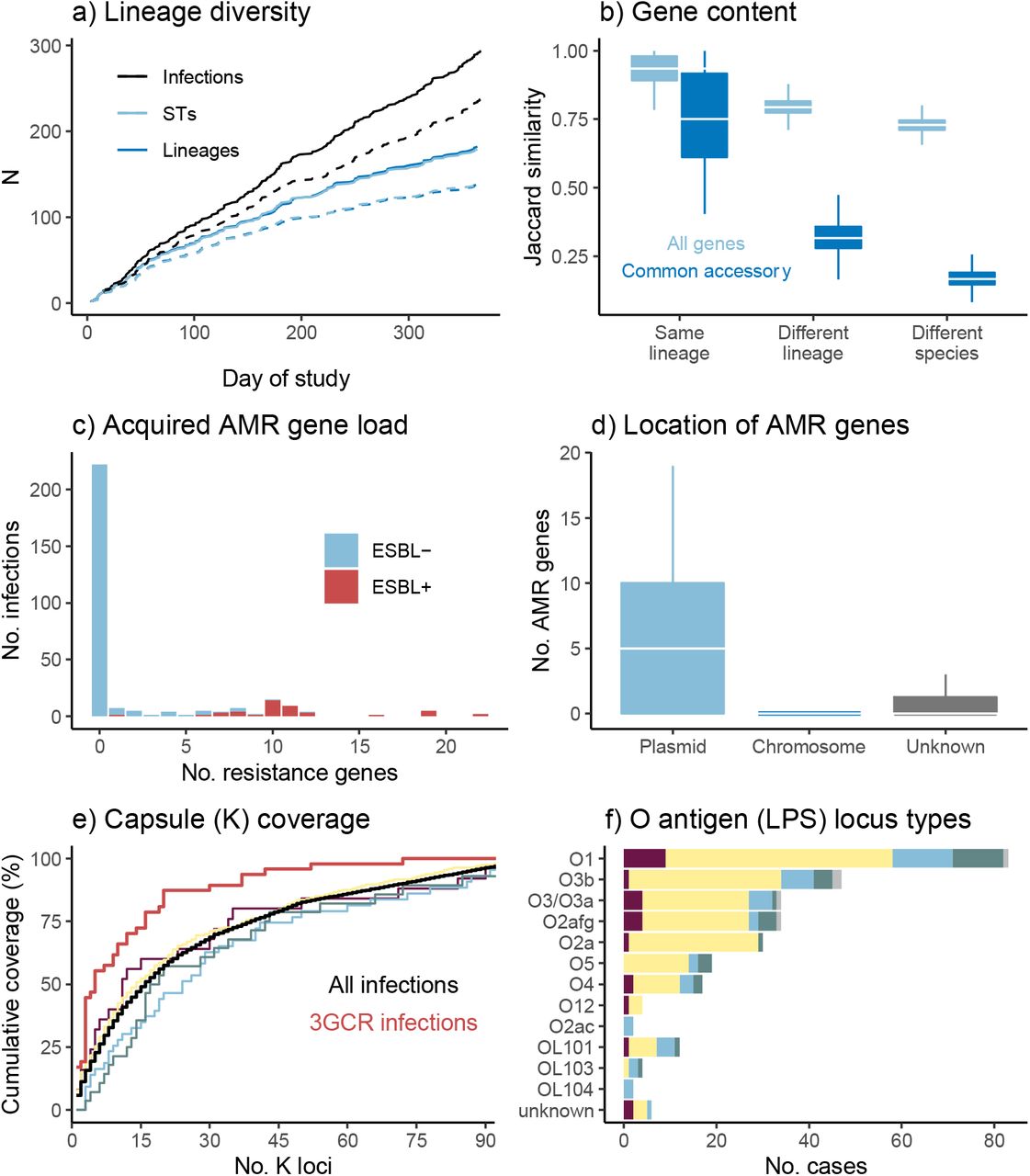 Genomic diversity of clinical isolates identified as K. pneumoniae in the hospital microbiological diagnostic laboratory (one per infection episode).(a) Accumulation of unique infection episodes (total 294 in 289 patients), lineages or sequence types (STs) over the study period. Solid lines=all K. pneumoniae species complex (KpSC); dashed lines=K. pneumoniae only (total n=238). (b) Distribution of pairwise gene content Jaccard similarity between genomes, calculated using either all genes (including n=3,095 core genes present in all strains), or the n=4,001 common accessory genes (each present in 5-95% of genomes sequenced). (c) Distribution of the number of acquired antimicrobial resistance (AMR) genes per genome, stratified by detection of an extended spectrum beta-lactamase (ESBL) gene. (d) Number of AMR genes per genome that were attributed to plasmid-or chromosome-derived contigs using Kraken. (e) Theoretical coverage of infections (y-axis) by vaccines targeting capsular antigens encoded by increasing numbers of K loci (x-axis, K loci ordered from most to least common in this data set as shown in Table S4). Black line shows cumulative coverage of all unique infections (n=294); red line shows unique 3GCR infections (n=47); other lines show coverage of different infection types (maroon=disseminated, yellow=urine, blue=respiratory, green=wound, grey=other). (f) Frequency of O antigen (LPS) synthesis loci, stratified by specimen type (coloured as per panel e).