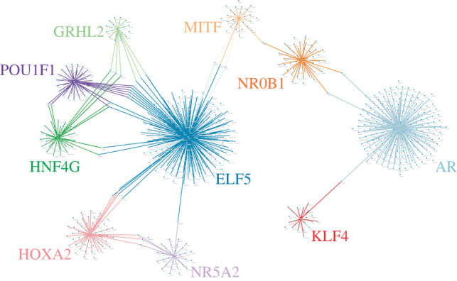 TMR networks. The ten most statistically significant TMR names are shown, and each colour indicates a TMR regulon. Each node represents a target gene, and each edge arriving to that node represents presumed regulation by a TMR.
