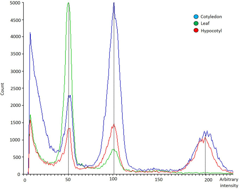 Flow cytometry histogram showing polysomatic pattern in cotyledons (blue), hypocotyls (red) and first pair of true leaves (green) from C. sativa. The x-axis represents a fluorescence intensity level proportional to the nuclear DNA content. The peak located at the value 50 corresponds to the diploid nuclei in phase G1, the peak located at the value 100 corresponds to the sum of the diploid nuclei in phase G2 and the tetraploid nuclei in phase G1, while the one at the value 200 represents tetraploid nuclei in G2 phase. The y-axis indicates the number of nuclei analyzed.