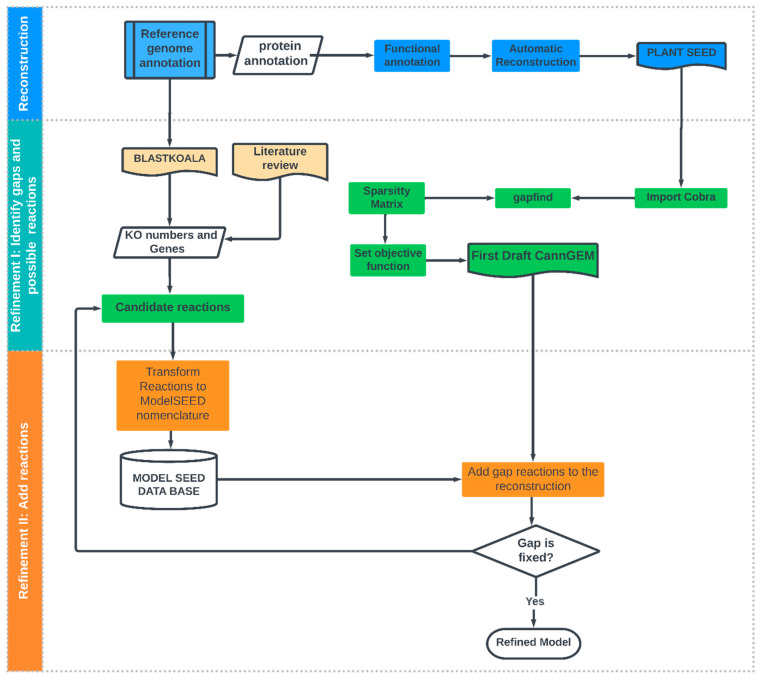Iterative workflow from the bottom-up process in C. sativa reconstruction.