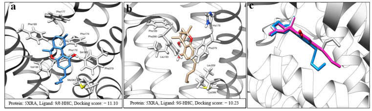 3D binding poses of (a) 9R-HHC and (b) 9S-HHC inside the CB1 receptor pocket. (c) Three different possible orientations of Δ9-THC alkyl chain inside the CB1 pocket with close docking scores. Some parts of the helices were removed for clarity. Docking scores are presented in kcal/mol.