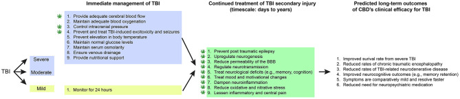 CBD's proposed role in immediate and continued treatment of TBI symptoms. TBI severity determines the scope of immediate clinical interventions. Preclinical evidence supports CBD's potential utility in some of these immediate treatment procedures (indicated by a cannabis leaf). However, CBD has broader potential to support TBI recovery by dampening the secondary injury cascade. If CBD is effective at improving some of these symptoms, there would be long-term predicted benefits across survival, neurocognitive, neurodegenerative, and neuropsychiatric measures.
