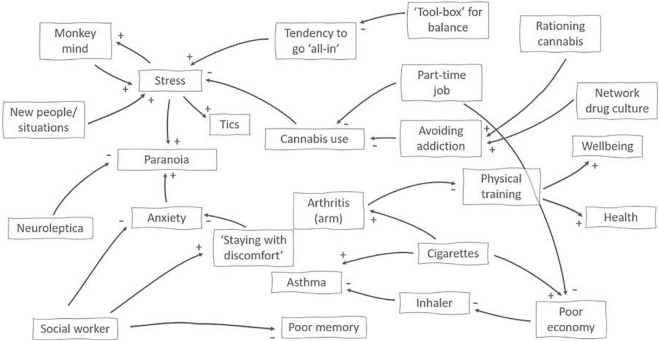 A network visualization of factors impinging on and contextuaIising cannabis use in a 29-year-old woman diagnosed with paranoid schizophrenia. + or– at the end of an arrow indicates the effects of a change in the originating factor, i.e., new people/situation increases stress, whereas meeting with her social worker helps reduce anxiety. The map was developed in dialog with the participant and used the four categories of factors from the 4E approach (Figure 1A above) as a guide.